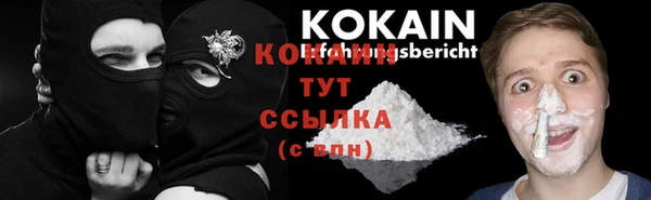 прущие грибы Армянск