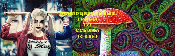 бошки Баксан