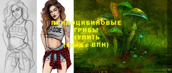 бошки Баксан