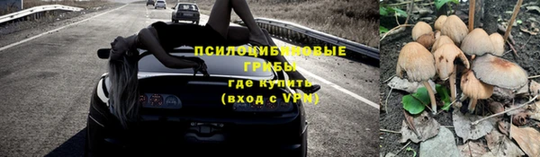 соль ск Балахна